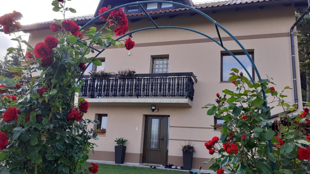 Apartment Panorama Zreče Eksteriør bilde
